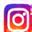 Instagram Icon
